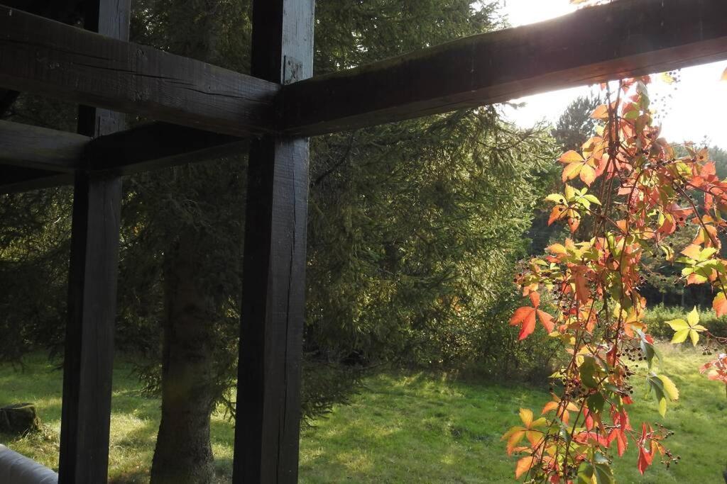 Modrzewiowy domek letniskowy - Stare Czaple Brodnica  Zewnętrze zdjęcie