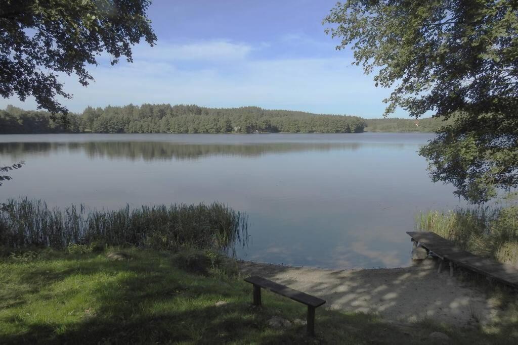 Modrzewiowy domek letniskowy - Stare Czaple Brodnica  Zewnętrze zdjęcie