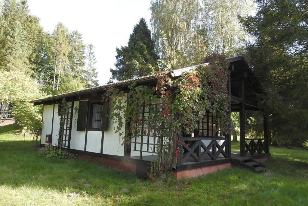 Modrzewiowy domek letniskowy - Stare Czaple Brodnica  Zewnętrze zdjęcie